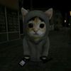 danya77927