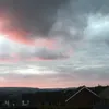 max_walsh298