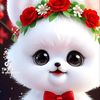 m.javed.m.javed194