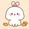 sunny.review96
