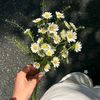 notife.khusus.com.id21