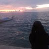 darma.ulan6