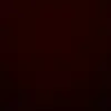 xxy_isback