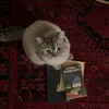 lir_444