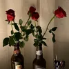 pypapypi