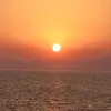 minapercy15