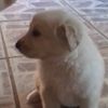gimenez.lili1