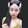 .linh.lan0