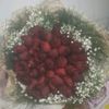 hatice.gulseren
