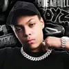 ddot_fan1417