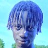 dve.le.lion.778923
