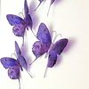 purple.butterflie5