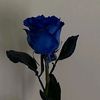 user8419901974581