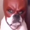n0rdicg1ng3