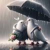 niema5831