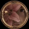 cd_ayaa
