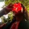 nila_523