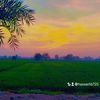 hassan16725