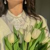 tulip_024_