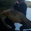 dartoxfishing