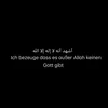 anas_1726
