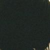 heartshark_10.1