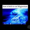 aggresivememer10