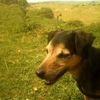dave.eyres