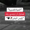 user73424651300604