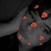 lacey729