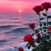 user7853818019916