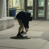 bushlover10