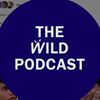THE WILD PODCAST