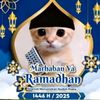 penjaha28