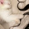 heena123144