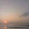 daalindaa11