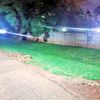 thegardener74