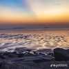 whome_443