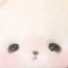 pawfaitt