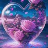 jannat63082