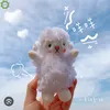 sheepbngu