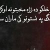 qarijan.5