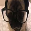 renlvsaly_
