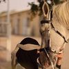 رنين سعيد ❤️‍🩹