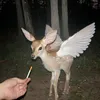 zzzzzzzww4