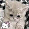 heesunsun.cen