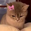 ermmm_13