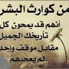 user86215572694167