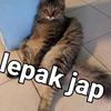 abgngah_botak86