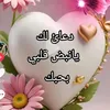 user4452232912036